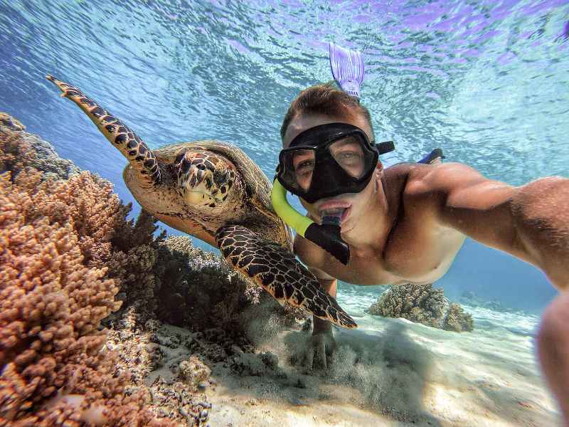 Плавание с черепахами